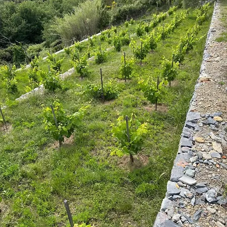 Valle Del Bosco, Noce Ferienhaus *